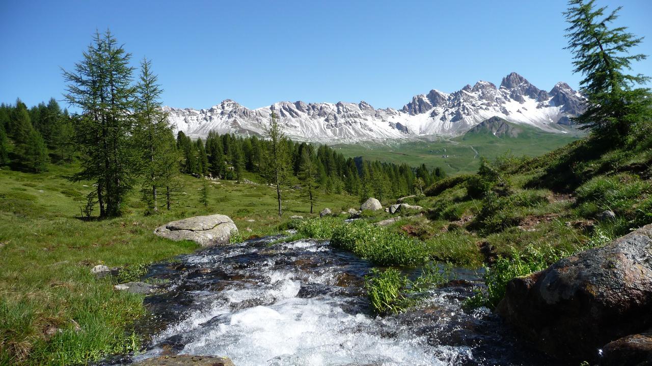 B&B Garni Villa Campitello Campitello di Fassa Buitenkant foto